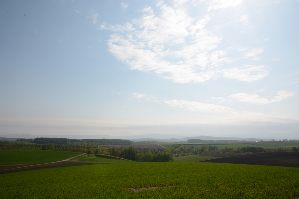 ある日の風景