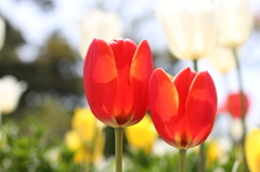 寄り添うふたり