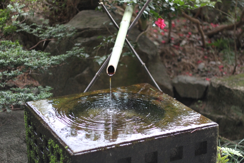 水面の波紋