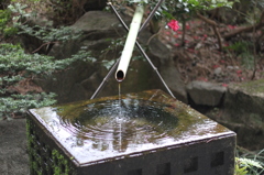 水面の波紋