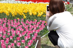 撮影する君