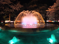 DSCF0096