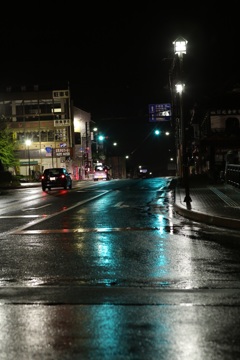 雨の日光市