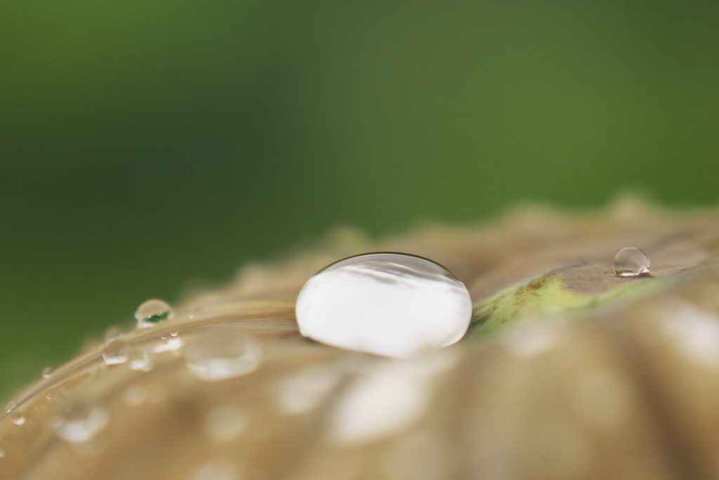 雨上がり