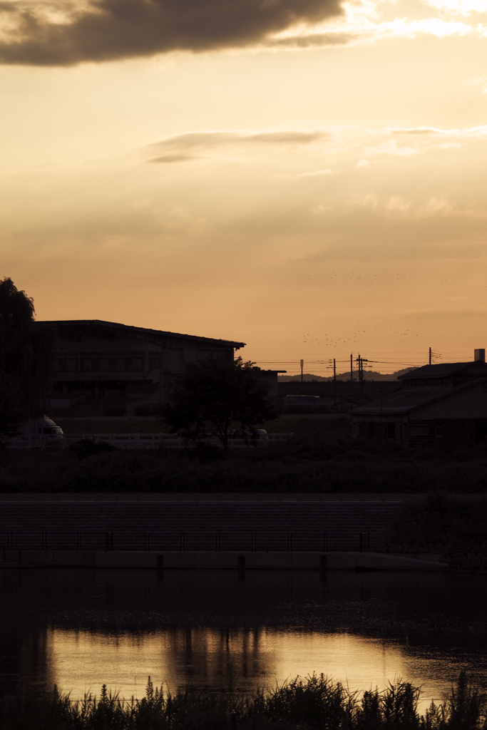 信濃川夕景