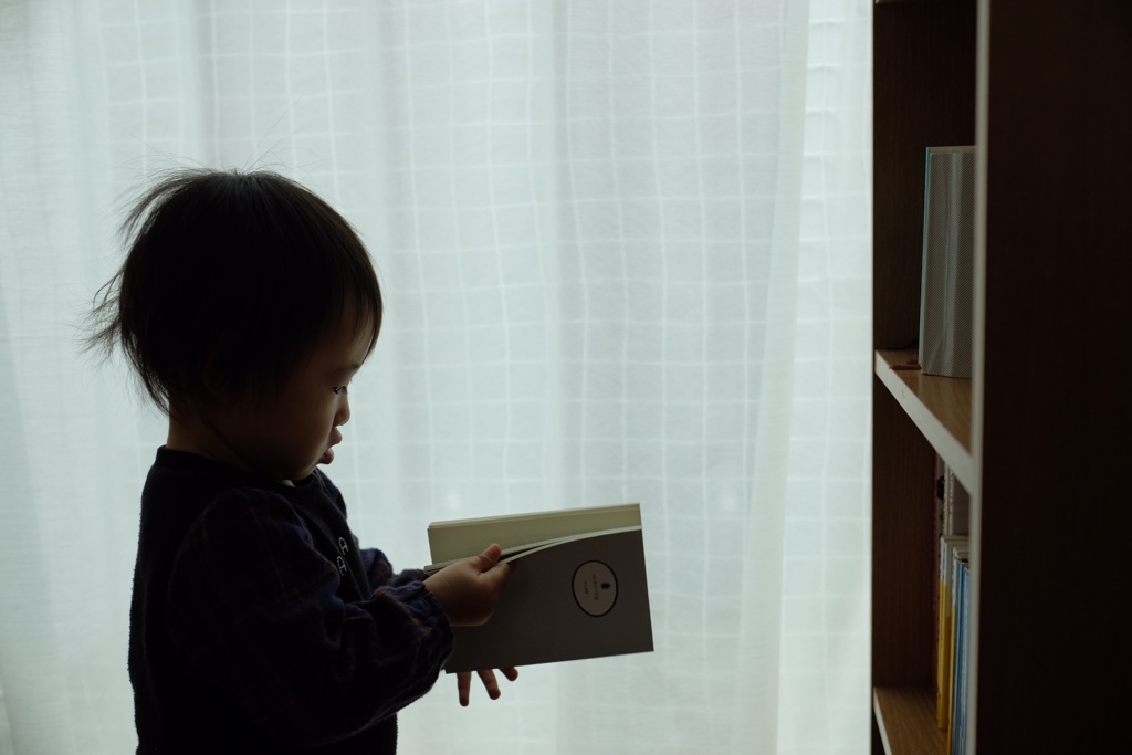 ある1日の写真#2