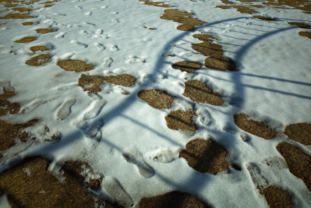 雪上のレール
