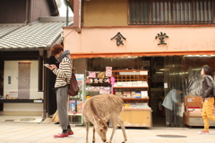 旅の途中