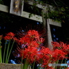 神社の入口