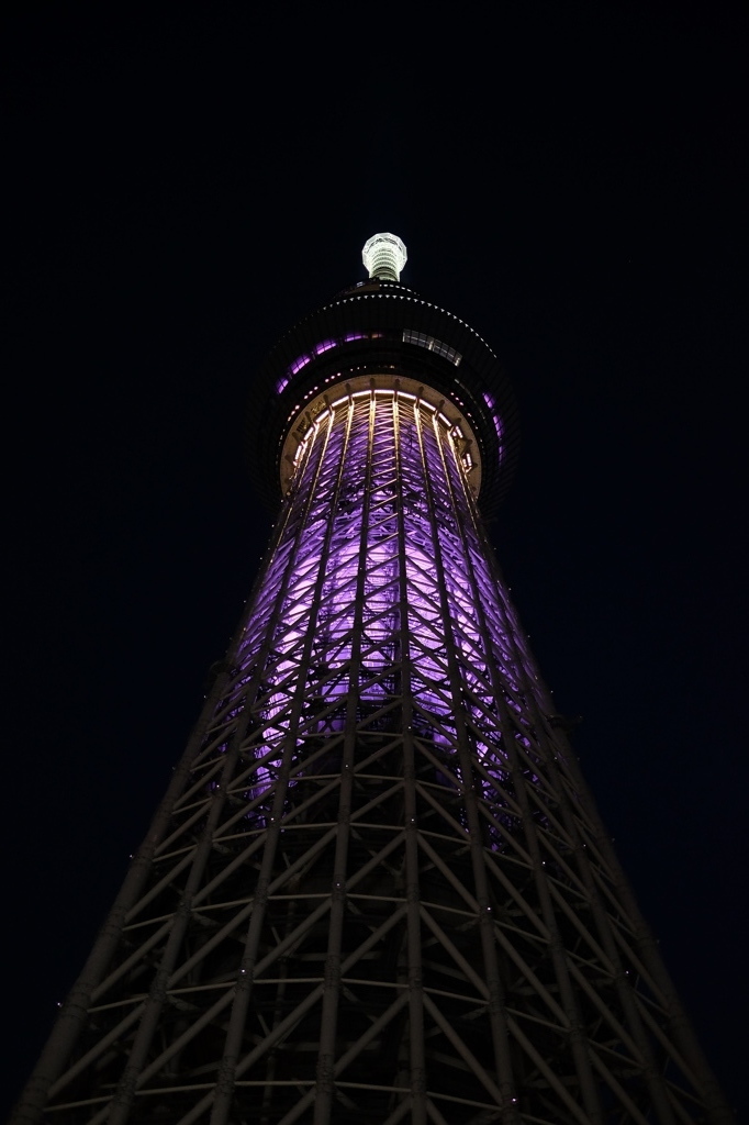 幻紫