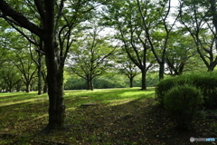 公園