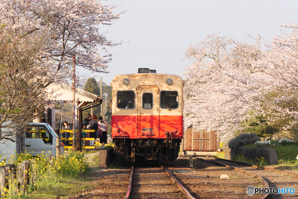 旅立ち