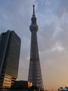 夕焼けスカイツリー