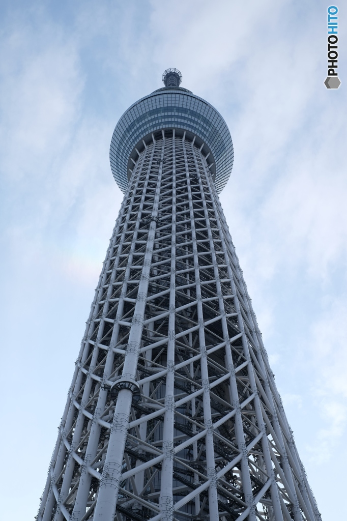 見上げてみました