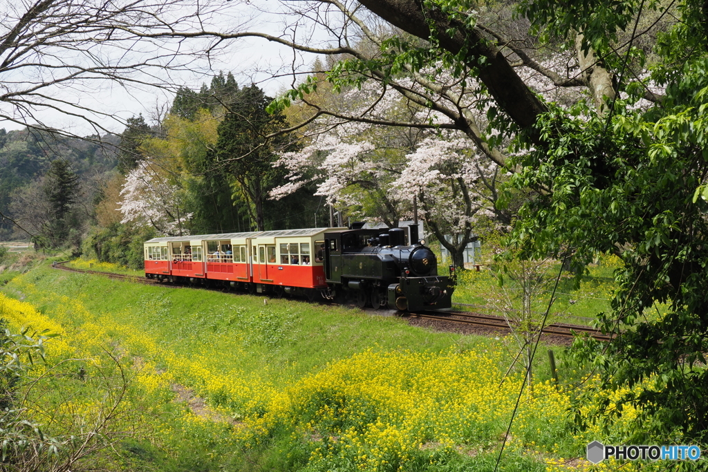 里山トロッコ