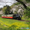 里山トロッコ