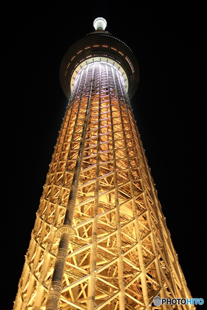 キャンドルツリー１