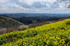 黄色のある風景