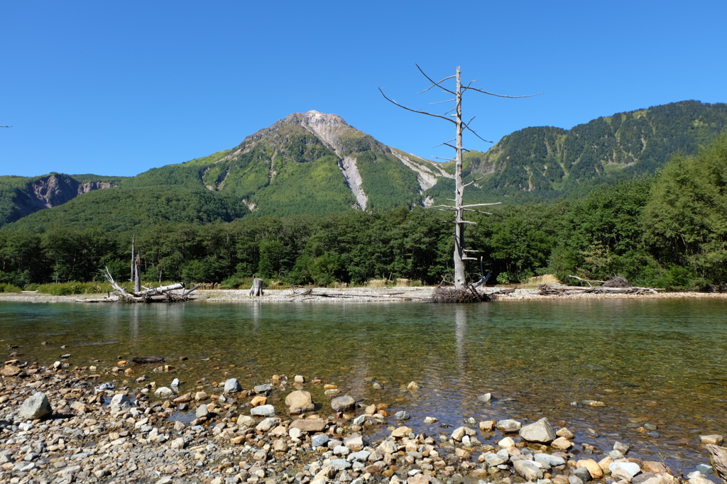 梓川と焼岳