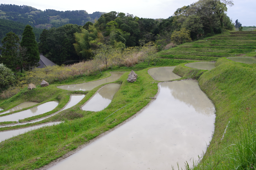 田植え前　２