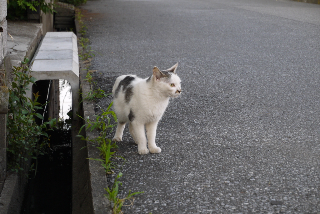 そっちに行こうか？