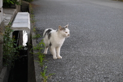 そっちに行こうか？