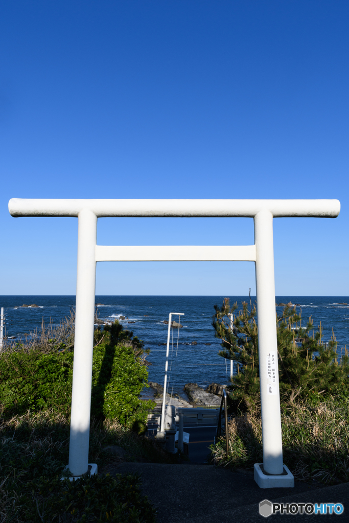 コントラスト