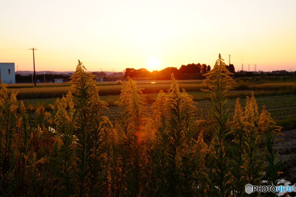 道端の夕焼け