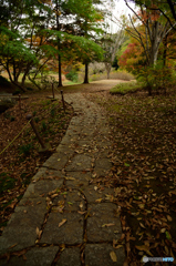 秋の散歩道