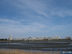 マンション群