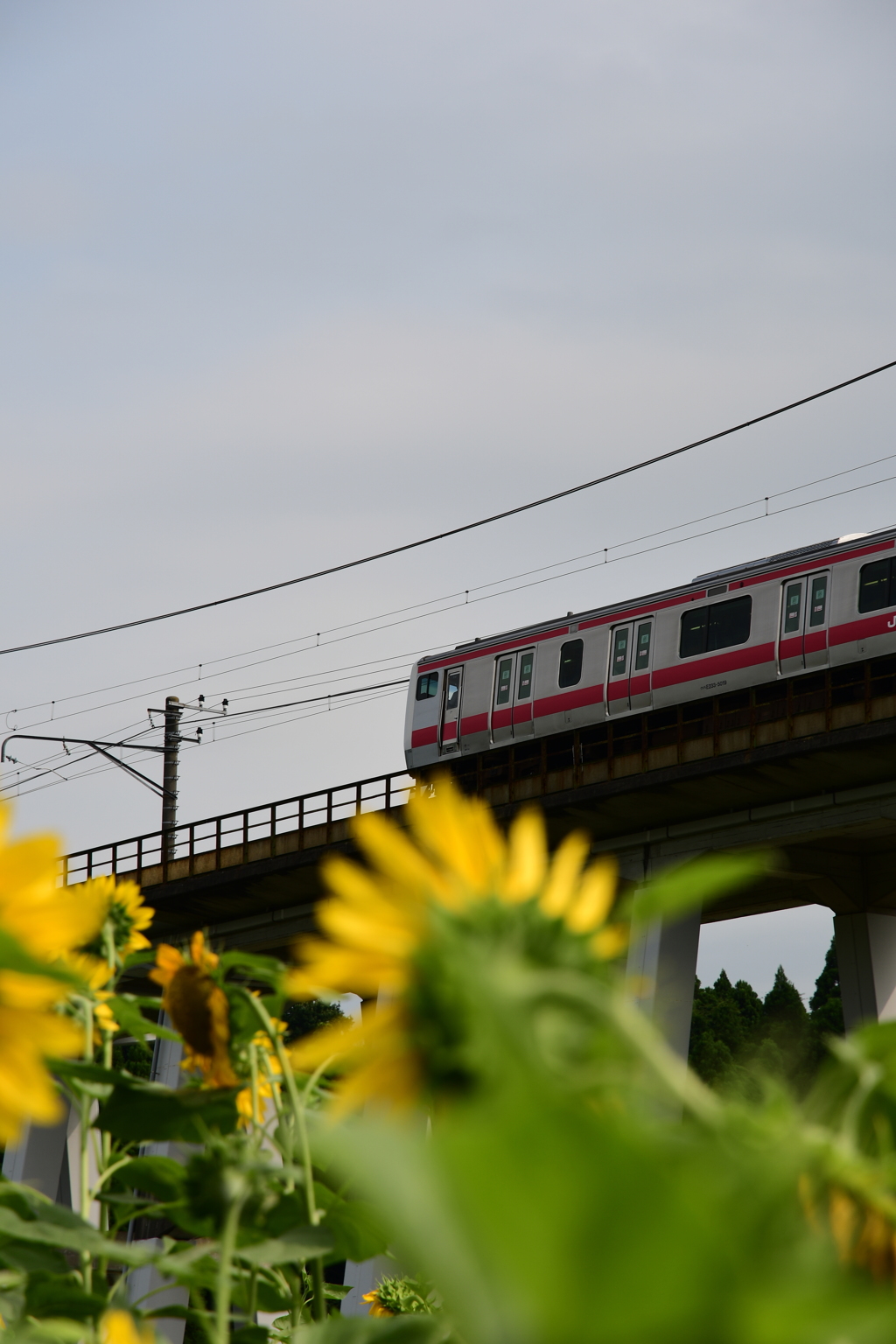 電車