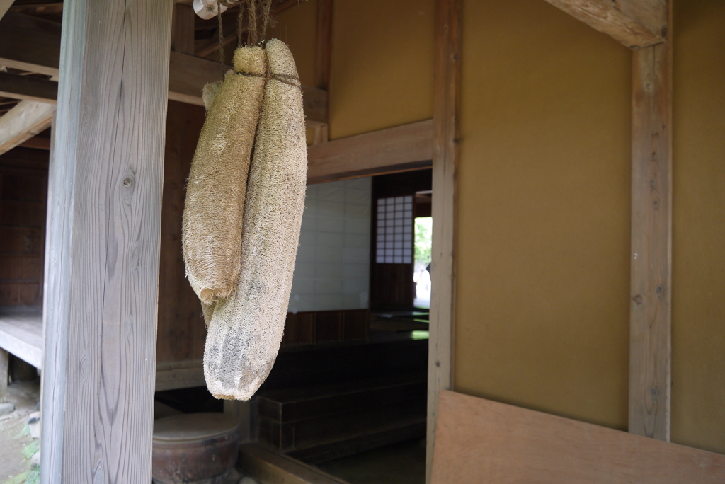 へちま