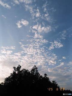 見上げた空
