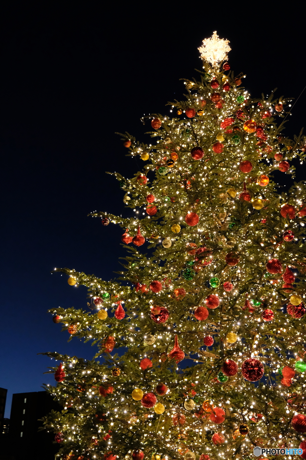 クリスマスツリー