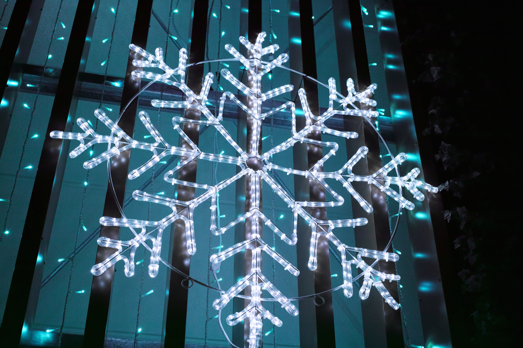 雪の結晶
