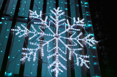 雪の結晶