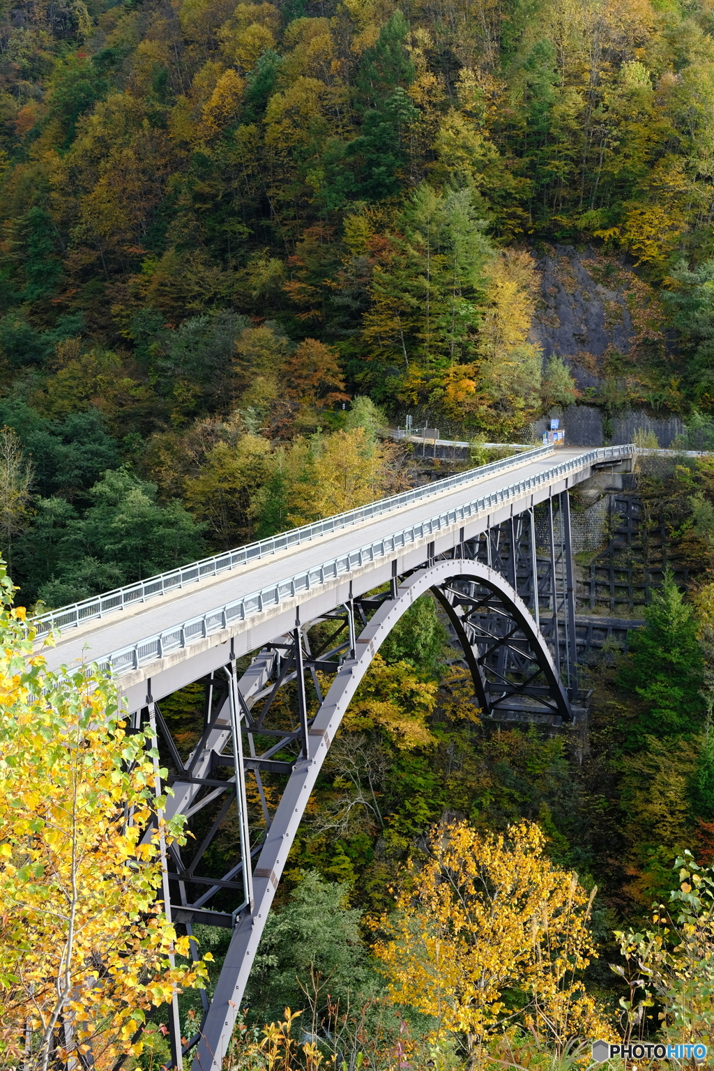 アルプス大橋