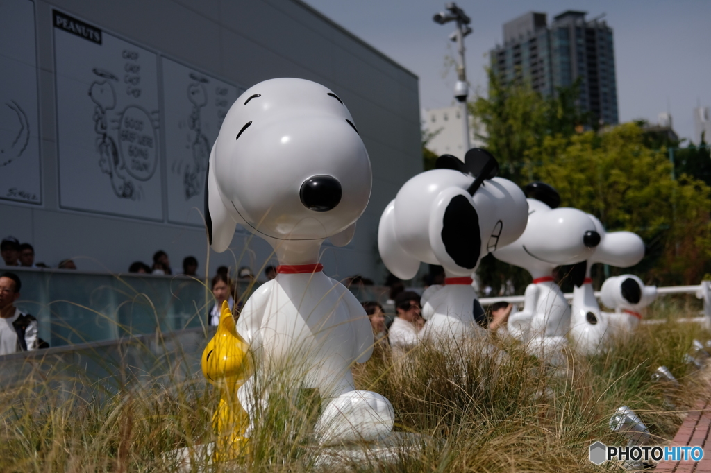 SNOOPY MUSEUM2