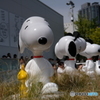 SNOOPY MUSEUM2