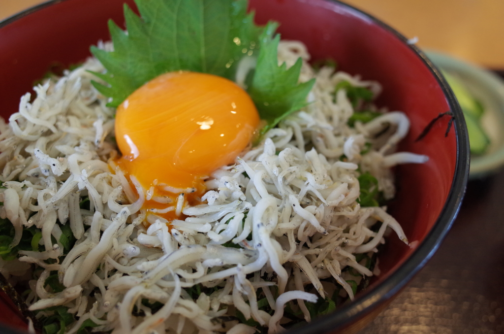 シラス丼