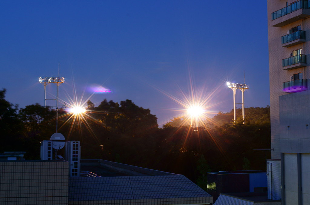 夜景