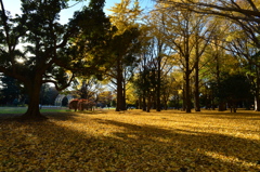 午後の公園