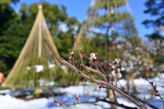 大雪の東京４