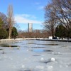 大雪の東京１