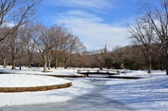 大雪の東京２