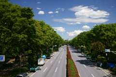 歩道橋からの景色