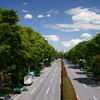 歩道橋からの景色