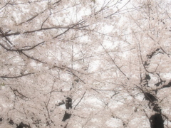 しっとりと