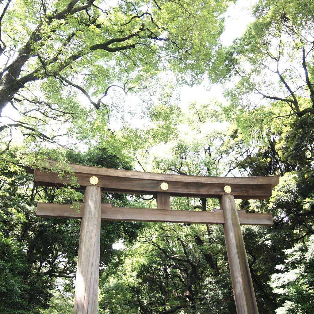 新緑の鳥居