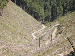ハイキング道